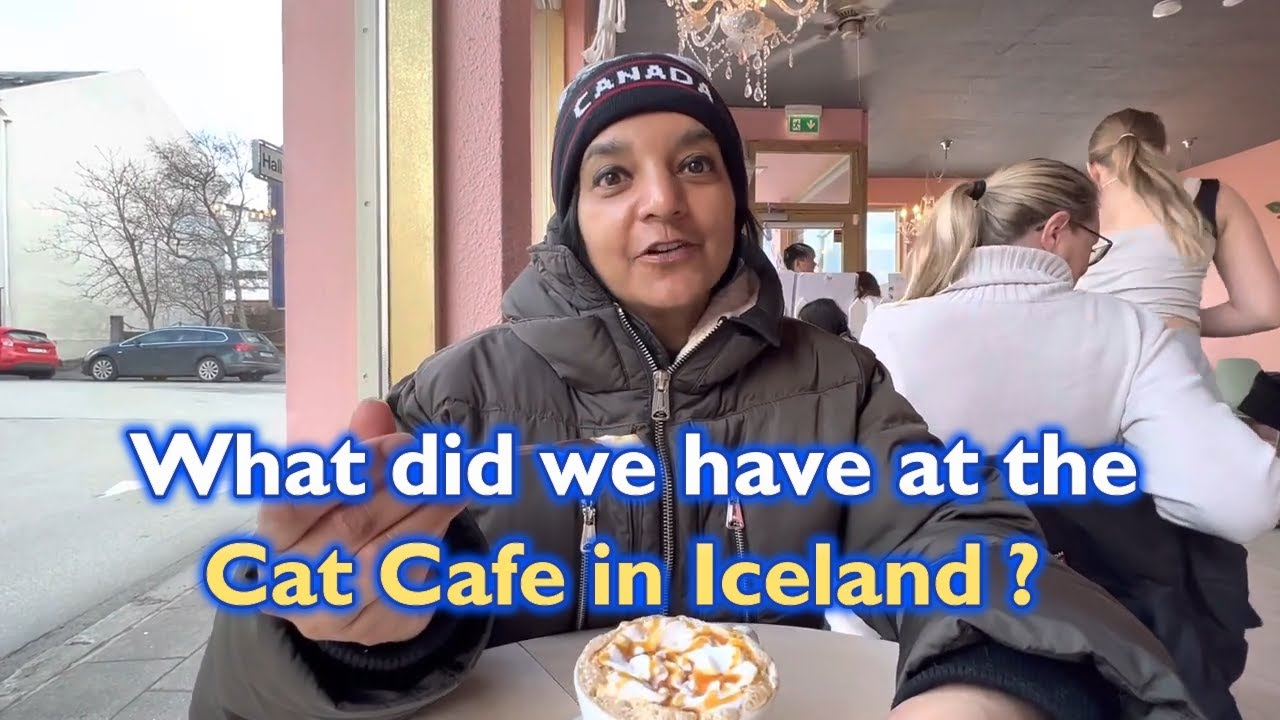 Iceland's Only Cat Cafe (Vegan) with delicious Coffee & Treats | Reykjavík, Iceland