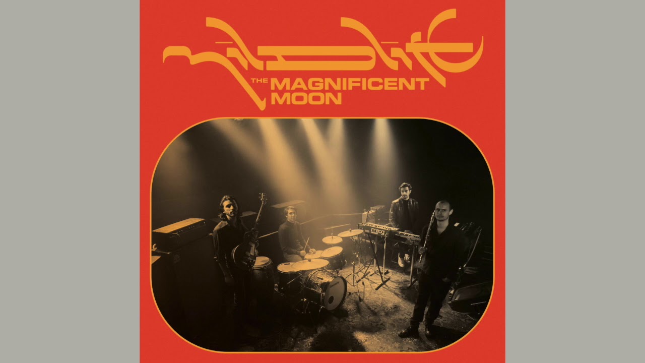 Mildlife - The Magnificent Moon