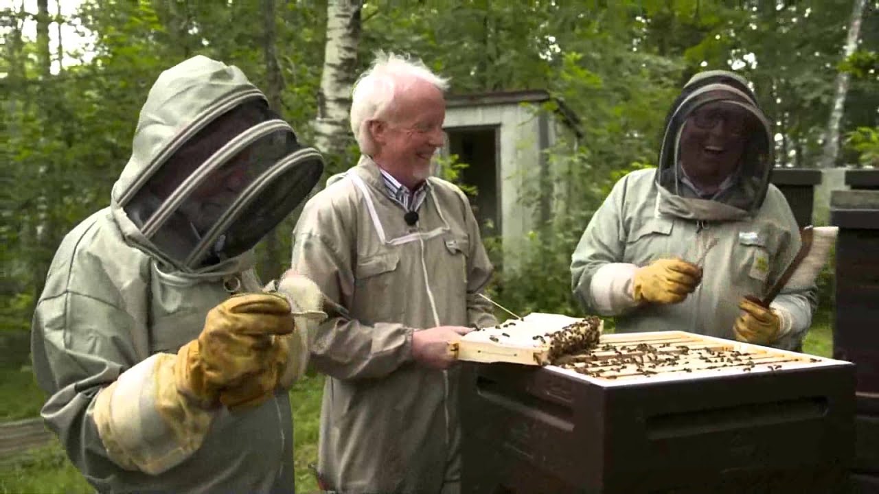 honey tasting