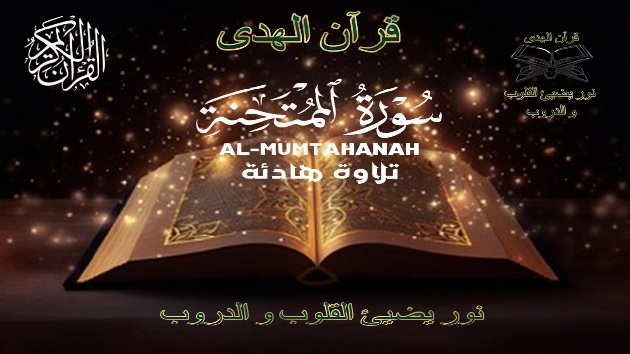 تلاوة هادئة سورة الممتحنة بصوت القارئ علاء عقل Surah Al Mumtahanah by Alaa aqel