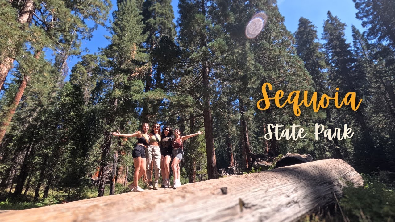 ACAMPANDO NO SEQUOIA PARK