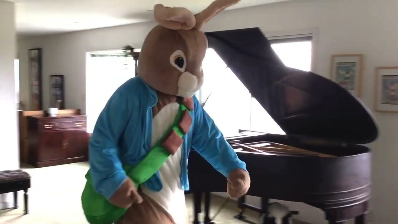 Peter Rabbit Costume Come To Oakland California