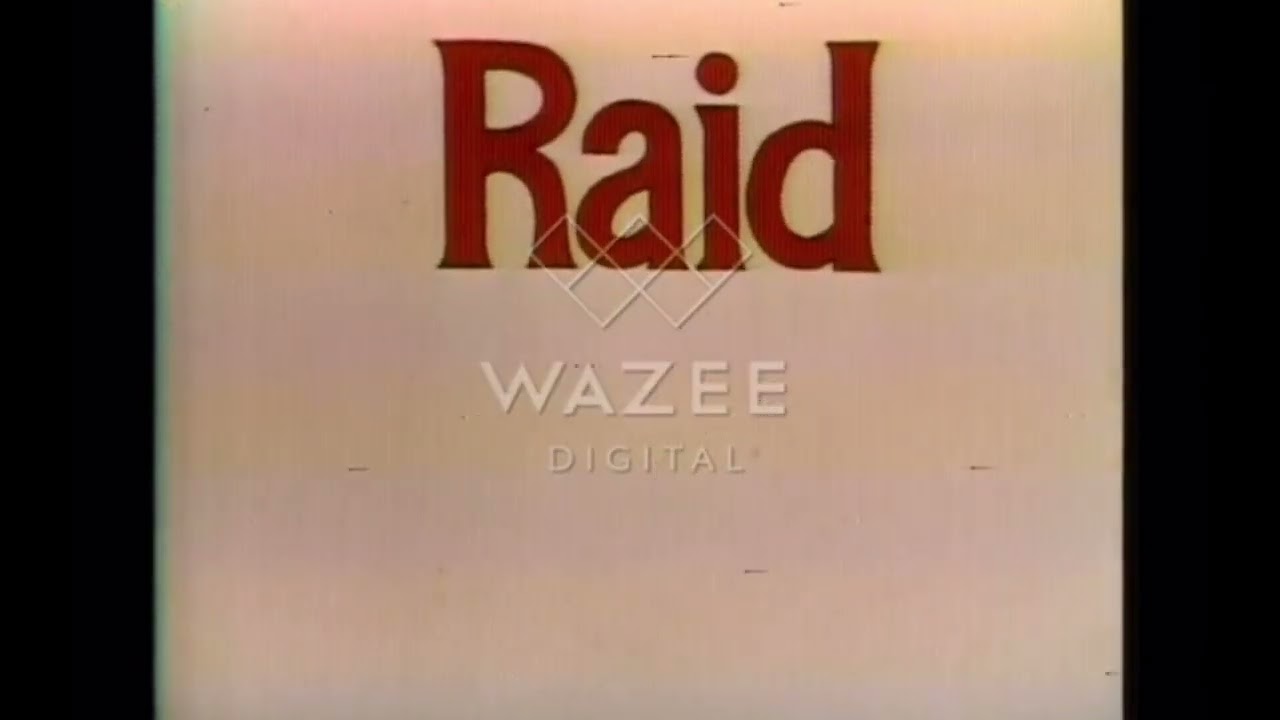 Rare Raid Commercials I found from the 60s-70s