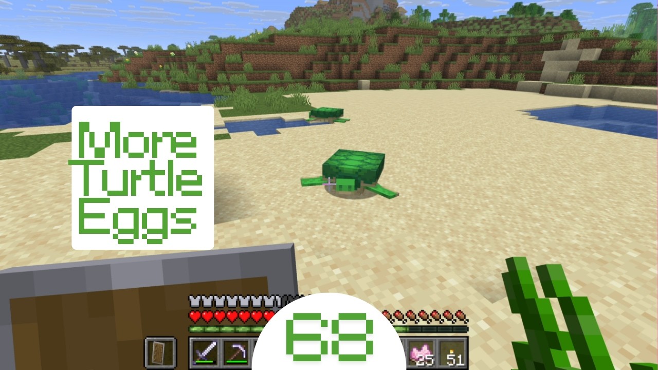 Minecraft #68 - More Turtle Eggs