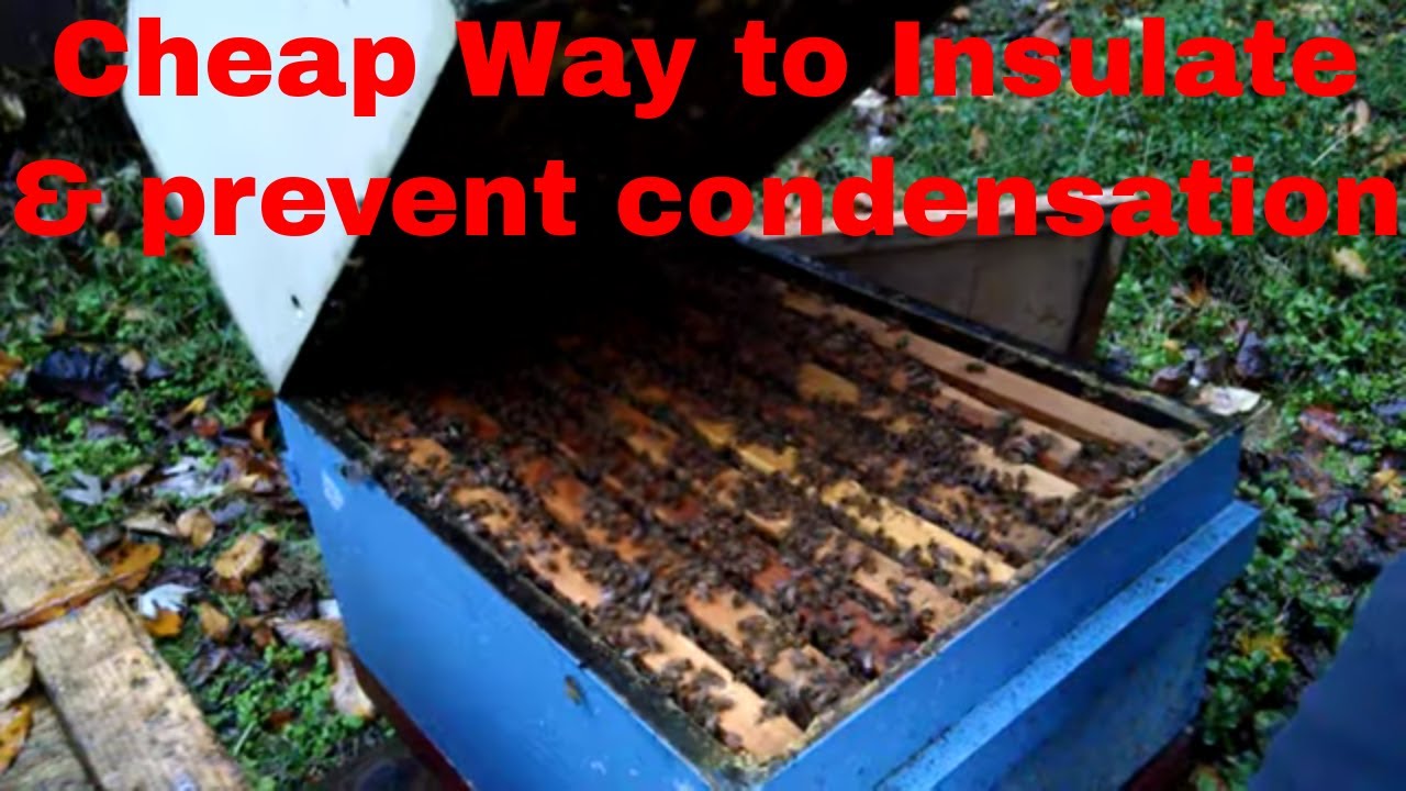 🔵Cheap way to insulate and prevent condensation!