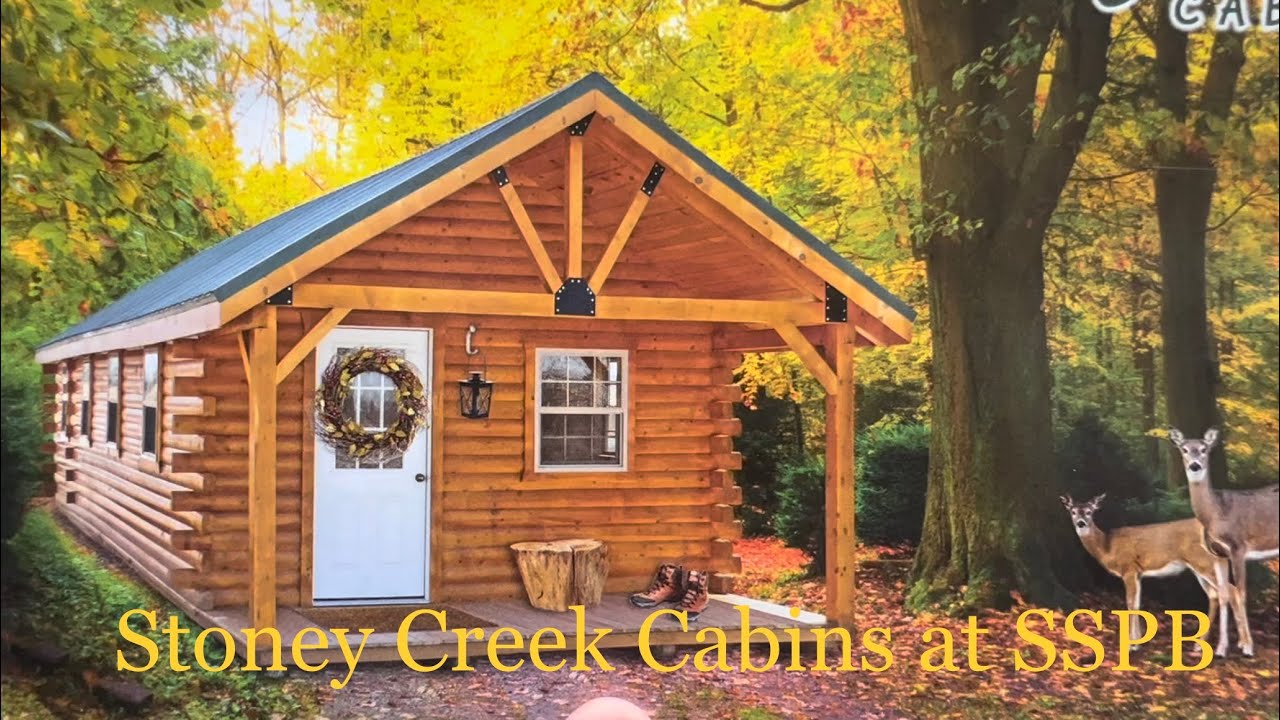 Do you like log cabin tiny houses? Amish hewn cabin kits!