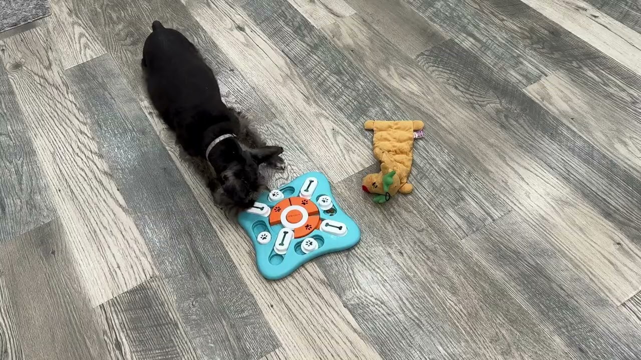 FOXMMInteractive Dog Treat Puzzle Toys   Grab this Product or pass?  #ad #amazoninfluencer