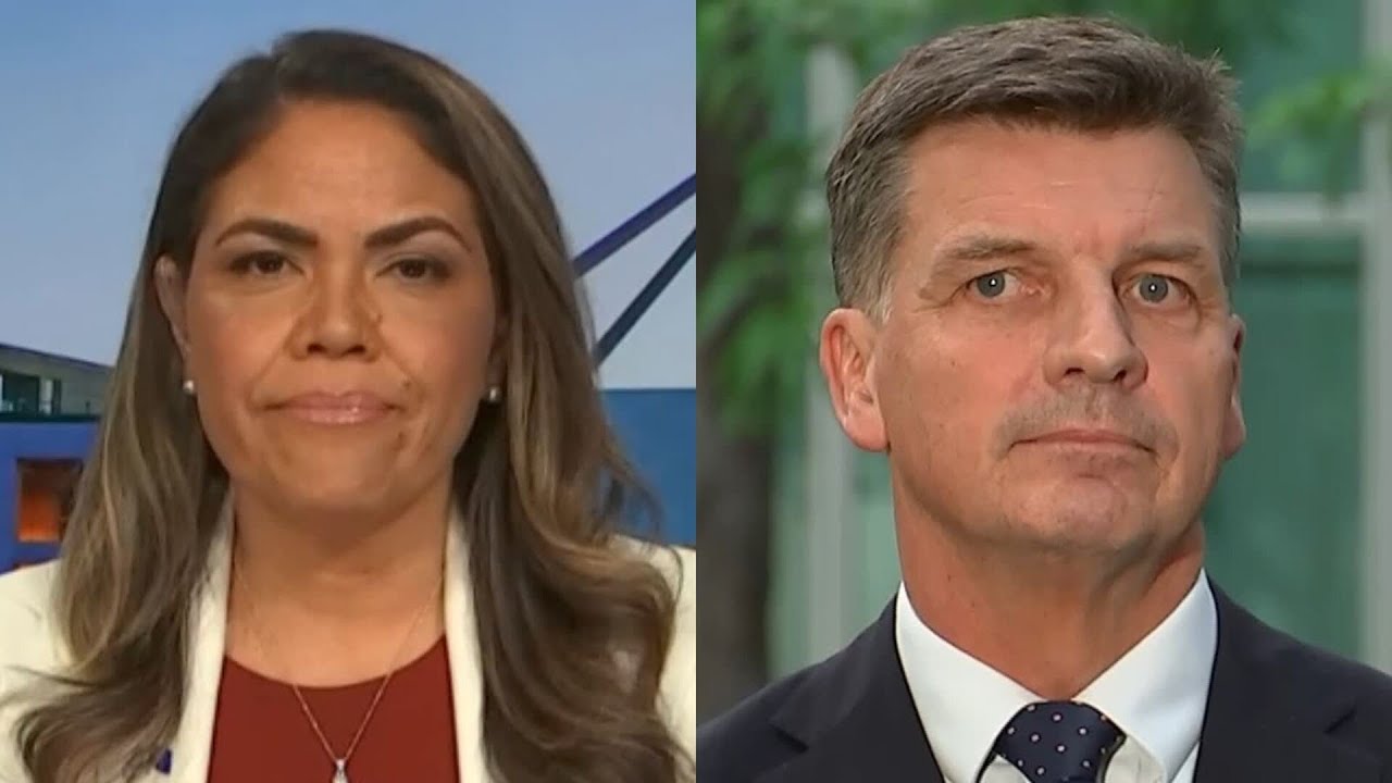 Jacinta Price backs Angus Taylor’s leadership bid against Sussan Ley