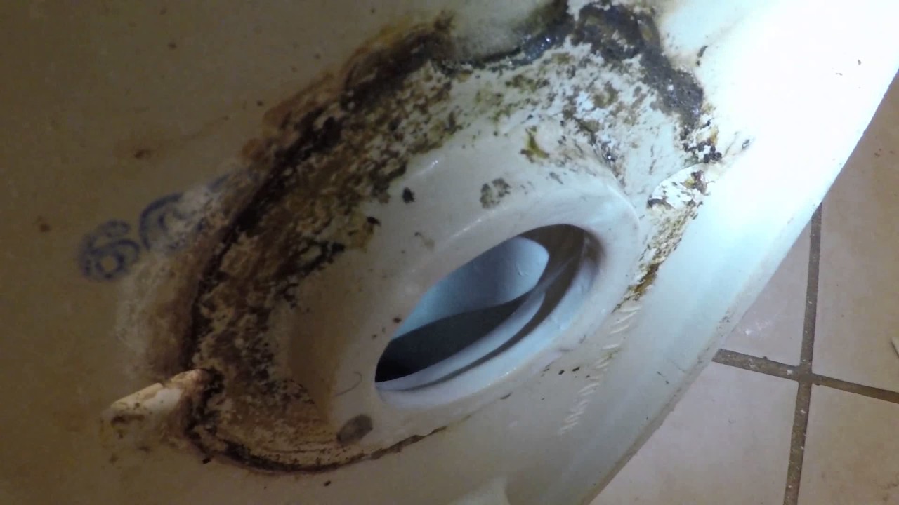 How To Repair Upstairs Toilet Leaking Into Downstairs - Phoenix, AZ