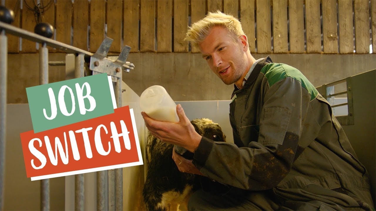 Ruben Van Gucht wordt melkveehouder | Jobswitch