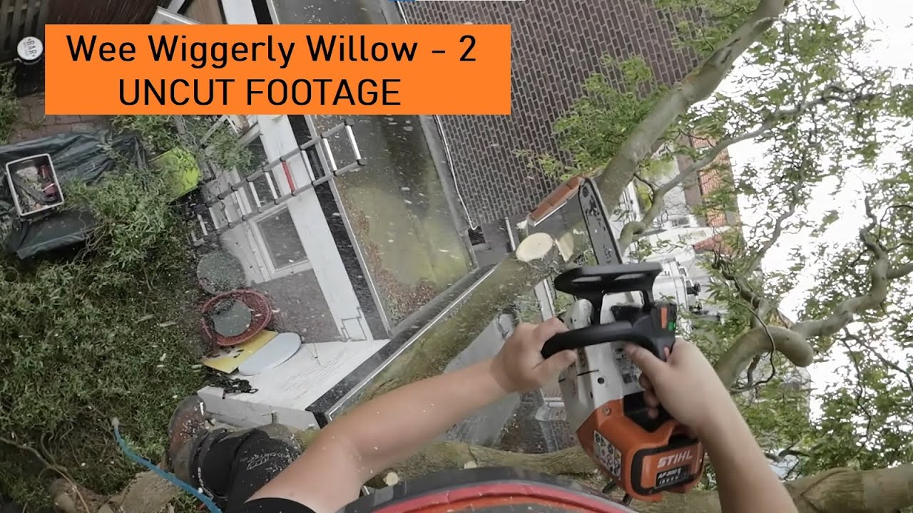Krulwilg kappen in Delft - Deel 2 ONBEWERKT 🌳