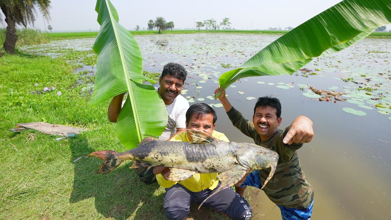 সেরা স্বাদের বাঘা আর মাছের দারুন এক রান্না | Big size Bagha Aar Fish curry recipe | village recipes
