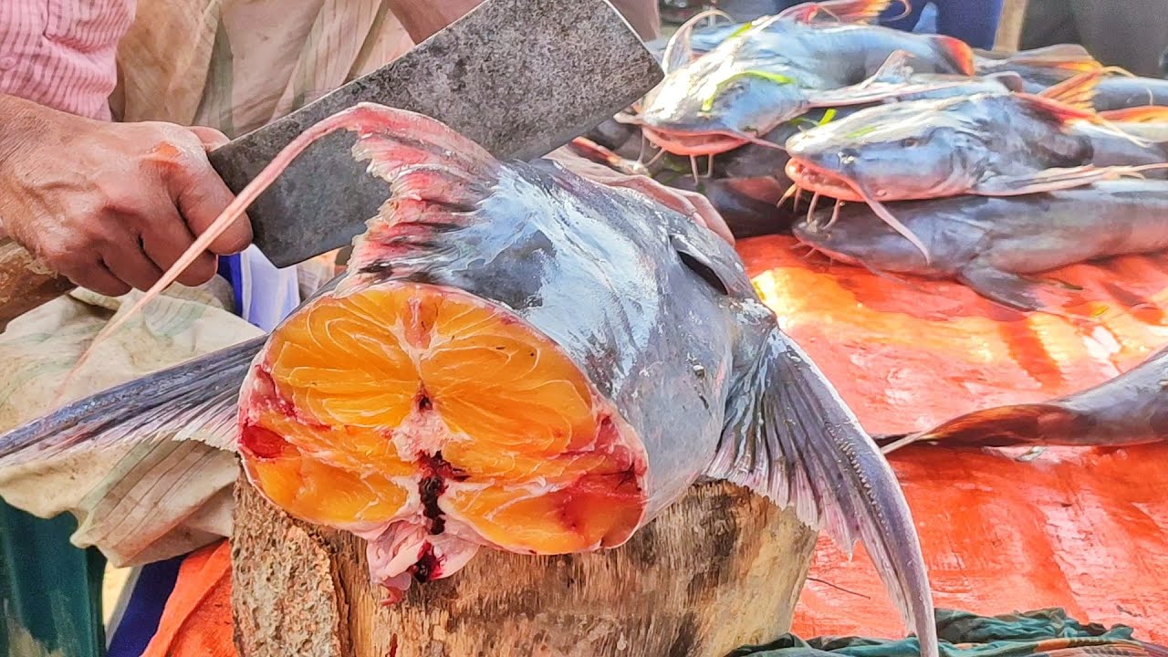 Giant Devil Catfish cutting // Amazing monster Fish || Giant Devil Fish