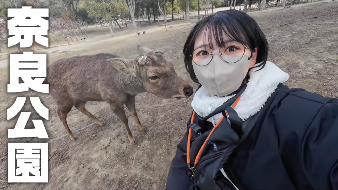 バイクで鹿に会いにいったよ