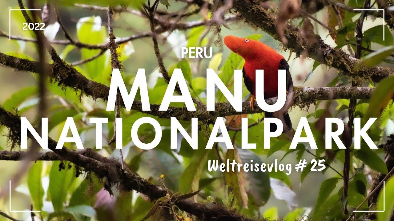 Manu Nationalpark Tour Amazonas Peru   Weltreise Vlog