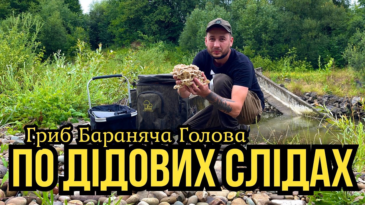 Трофейний Збір!!! Цей гриб знаходжу вперше!!!