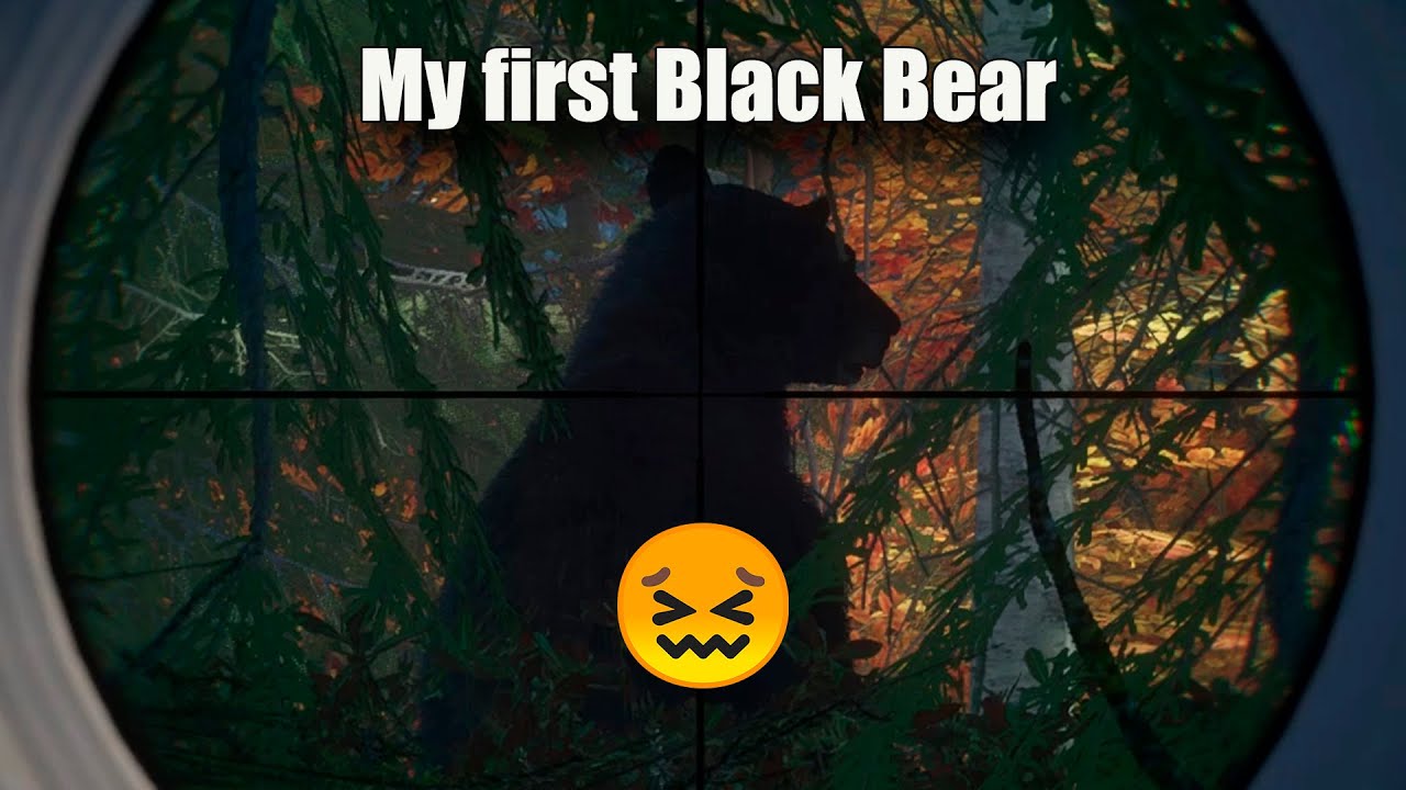 FINALLY After 30 min Tracking Black Bear | theHunter Call of the Wild