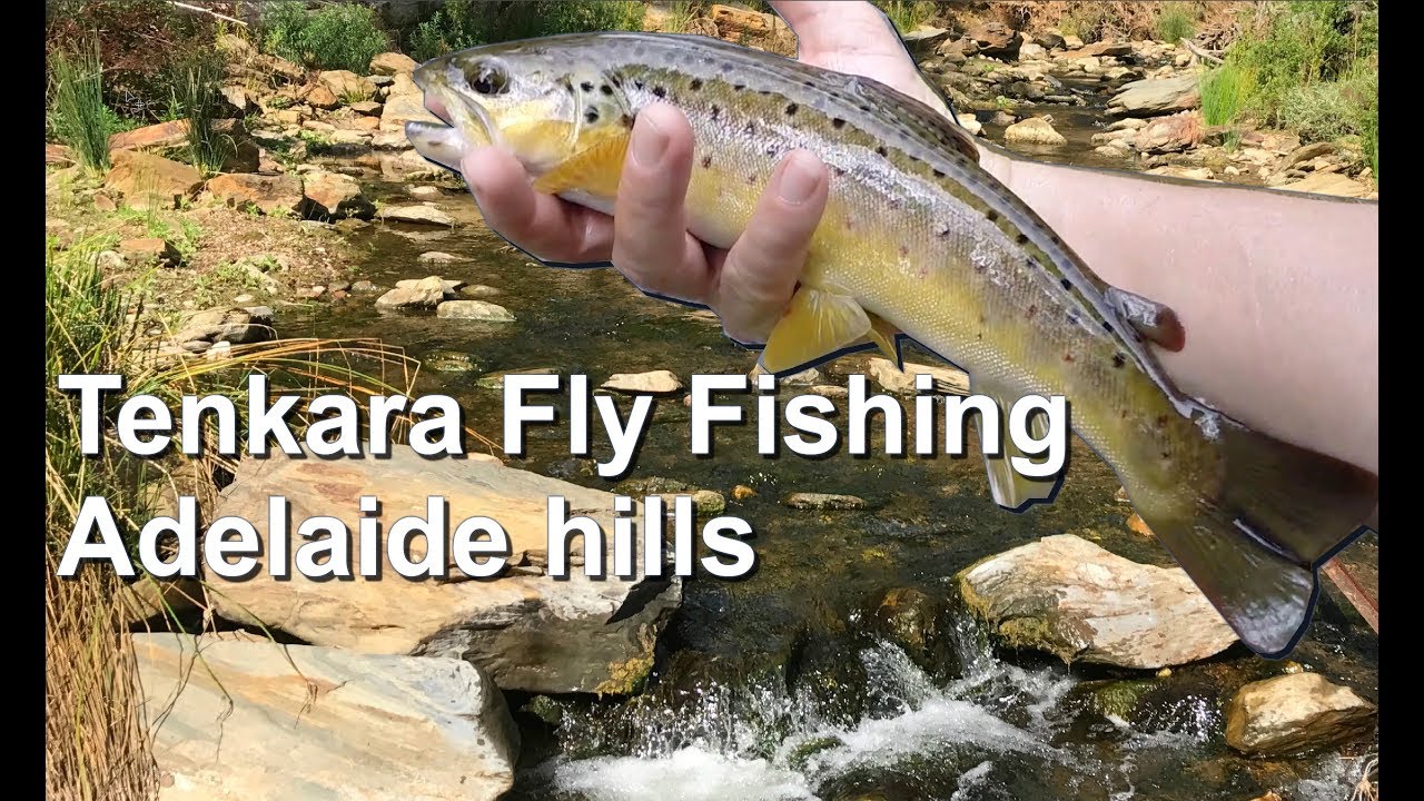 Tenkara Fly Fishing Adelaide Hills GOPRO