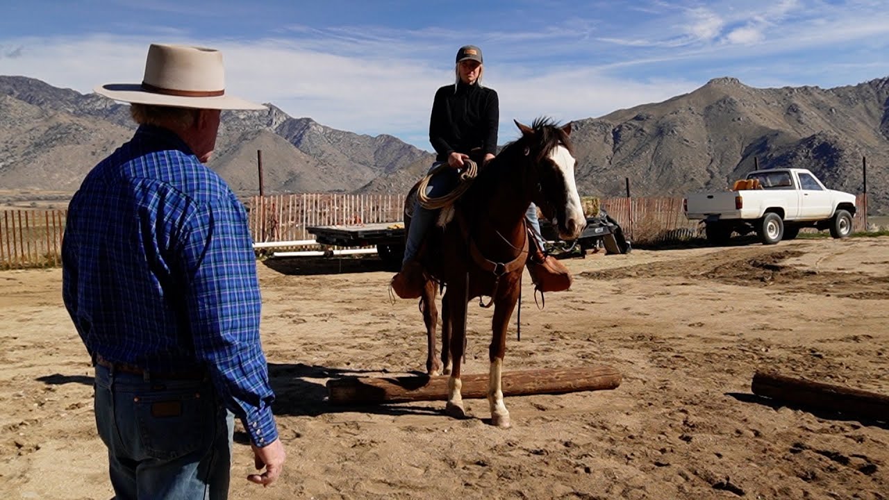 Teaching a Horse to Sidepass in a Western Bit