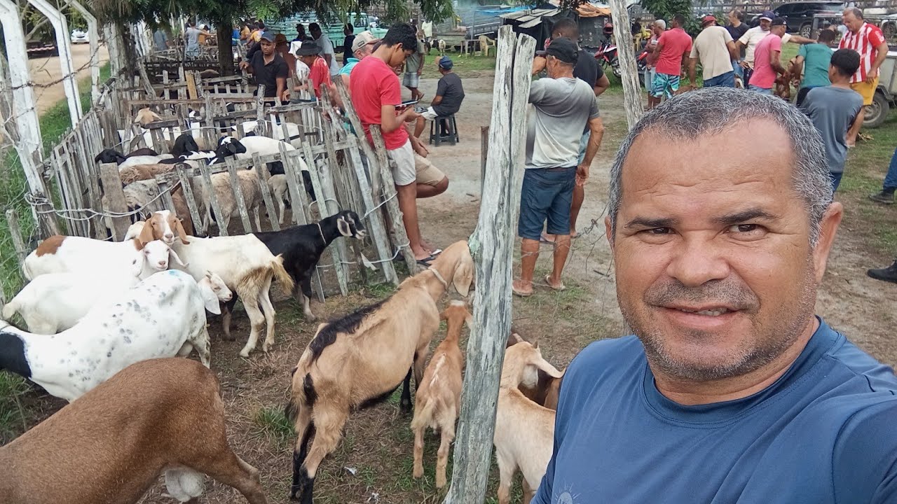 NA FEIRA DO BODE E CARNEIROS DE LIMOEIRO PERNAMBUCO 19 DE FEVEREIRO 2026