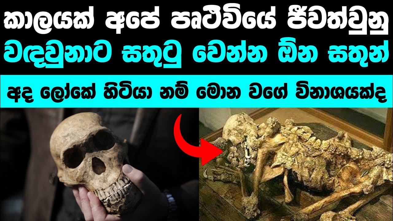 වඳවී ගිය එක ගැන සතුටු වෙන්න පුලුවං දරුණු සතුන් මෙන්න | Creatures That Really Existed Long Time Ago!