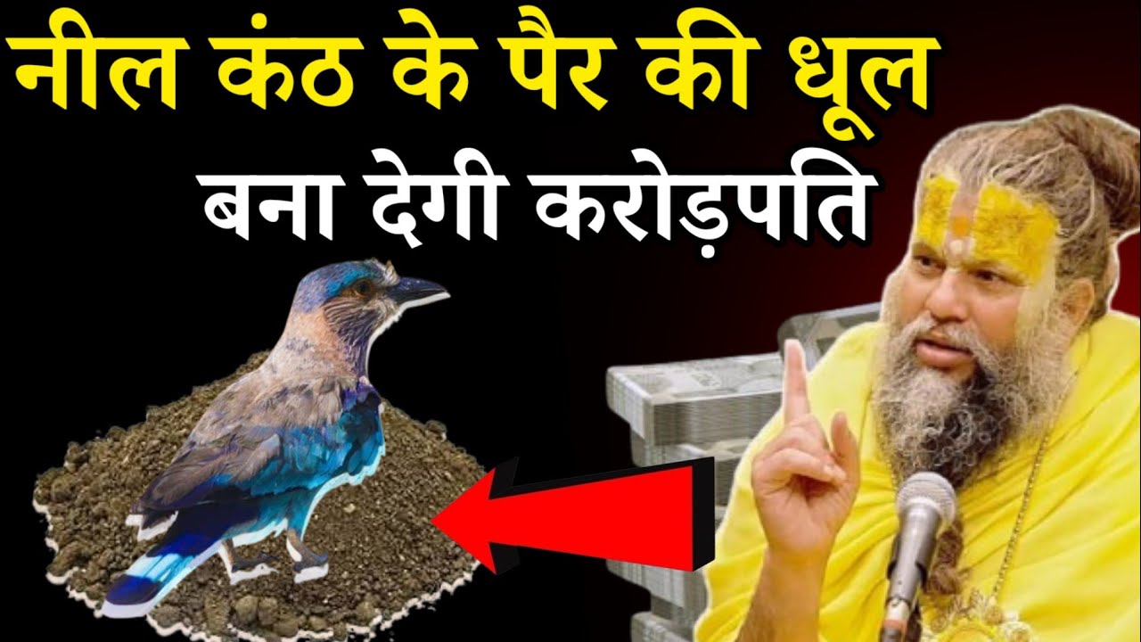 नील कंठ के पैर की धूल बना देती है करोड़पति किस्मत वालो के घर मे ही आते है ऐसे पक्षी #पक्षी