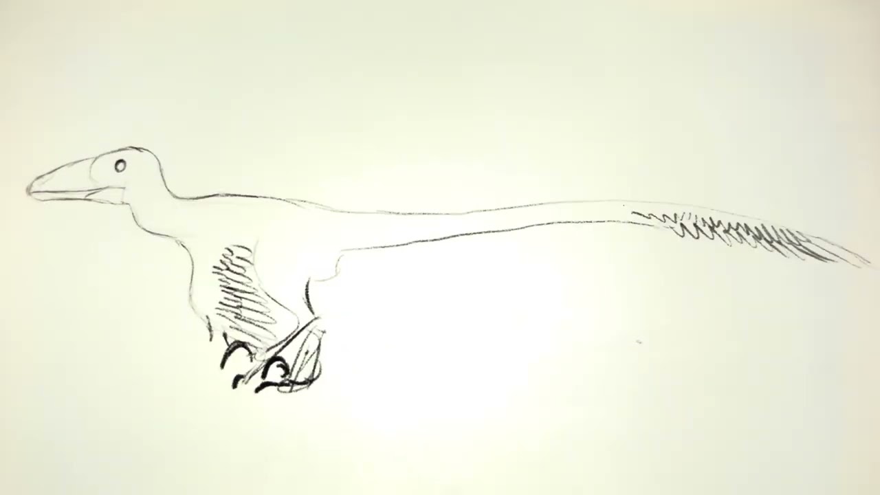 Deinonychus walk cycle test 1 