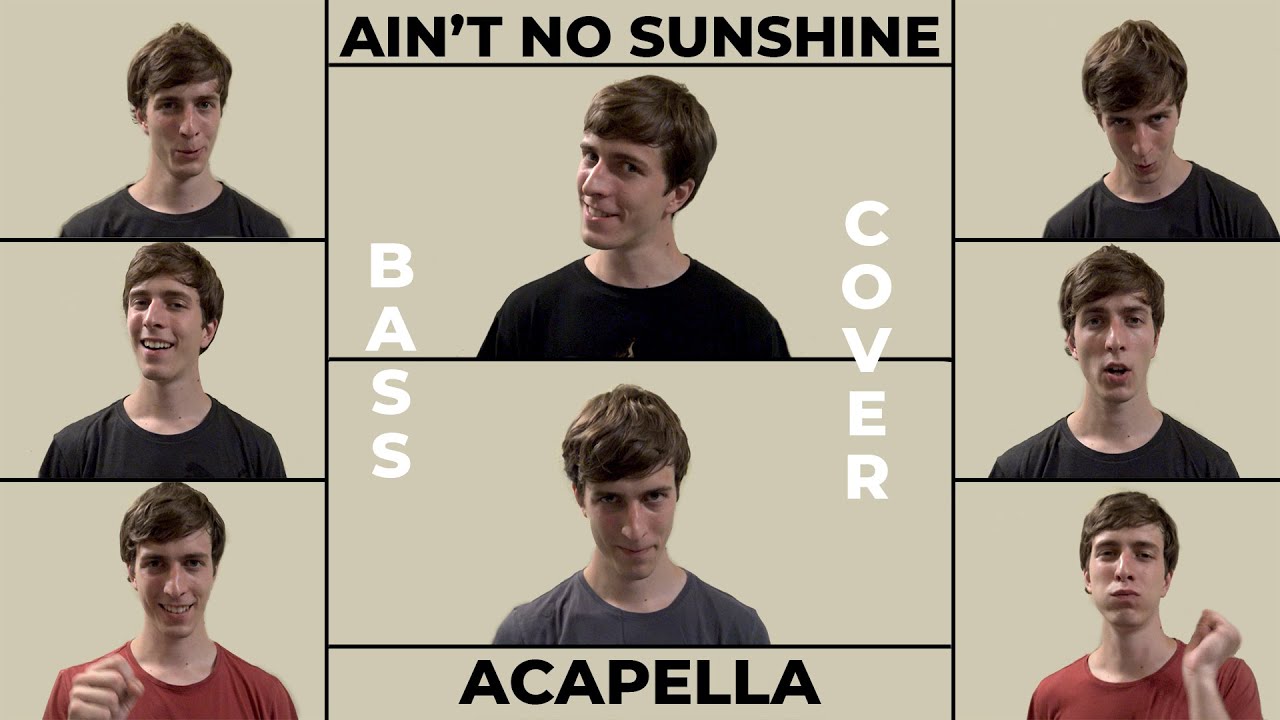 Ain't No Sunshine | Acapella Cover | Bass Singer | András Gedeon