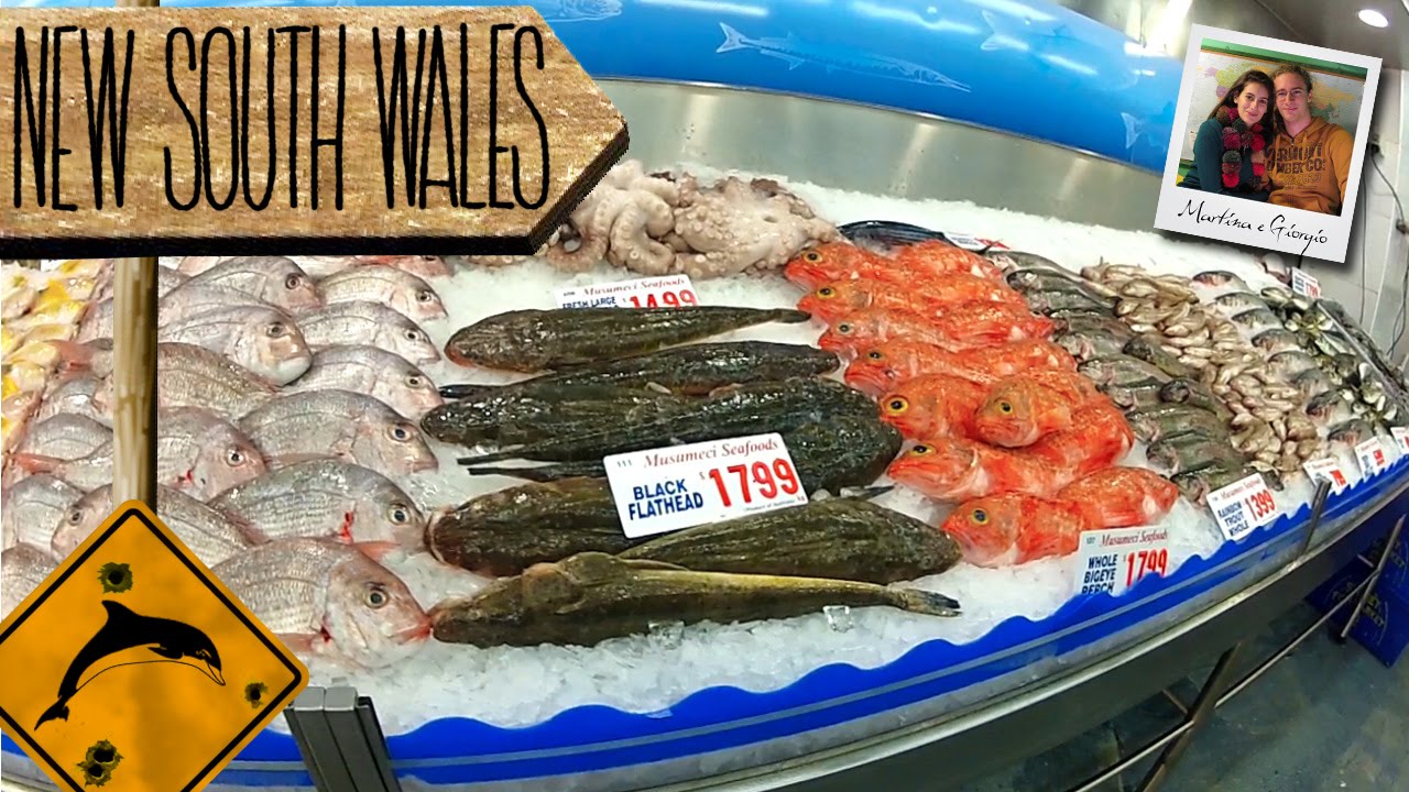 Il grande mercato del pesce di Sydney!