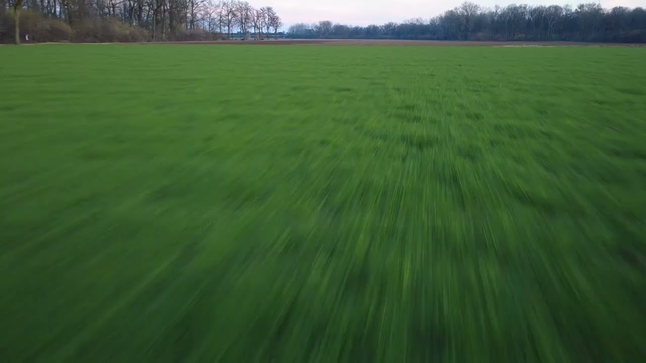 Dronata drone Stupinigi parco Torino Nichelino part 4