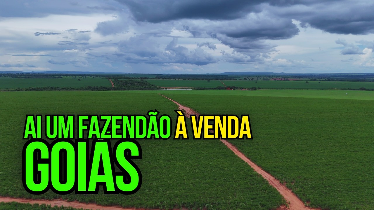 FAZENDÃO À VENDA EM GOIÁS I 1.170 HECTARES ARRENDADA PARA USINA