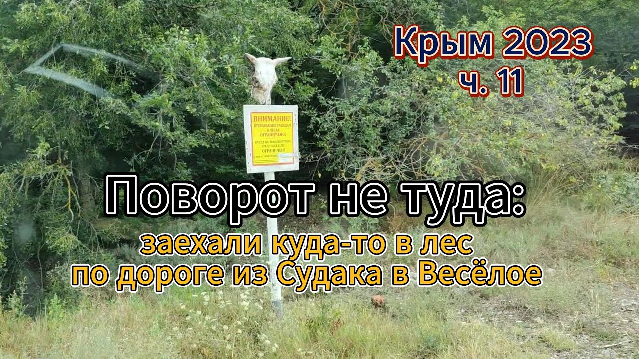 КРЫМ 2023 Ч.11 Поворот не туда. Заехали в лес. Дорога к турстоянке Карагач