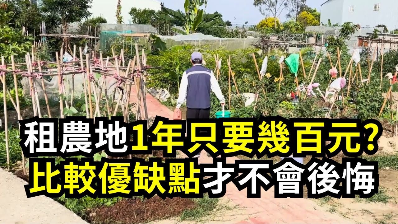 買農地或租農地？比較優缺點避免後悔 | 阿星種植