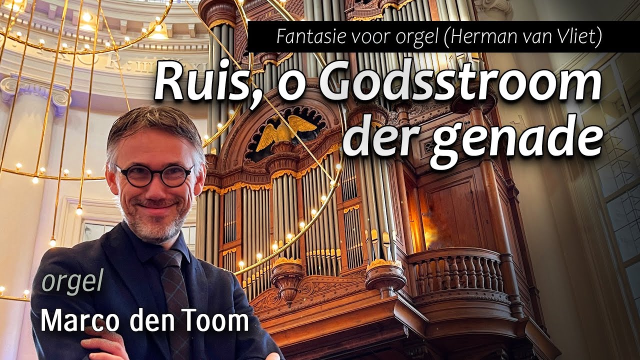MARCO DEN TOOM: Ruis, o Godsstroom der genade (Herman van Vliet)
