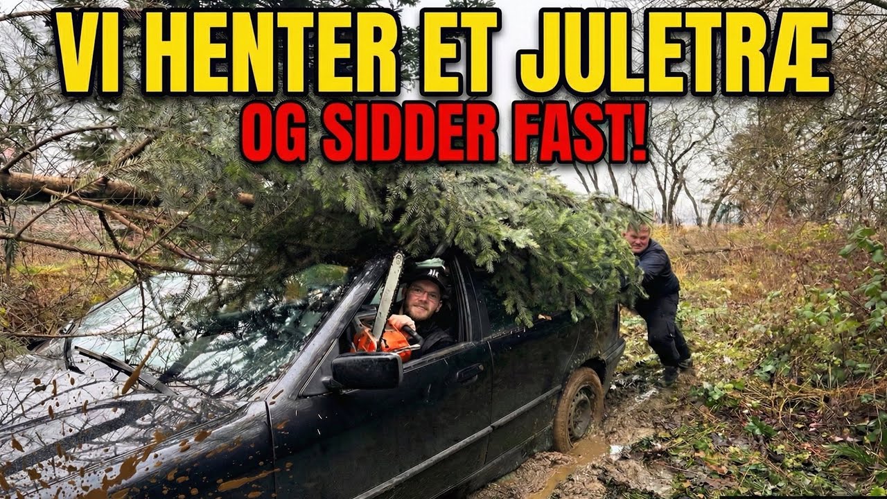 Juletræ vs. Sænket BMW: Det dummeste vi har gjort...