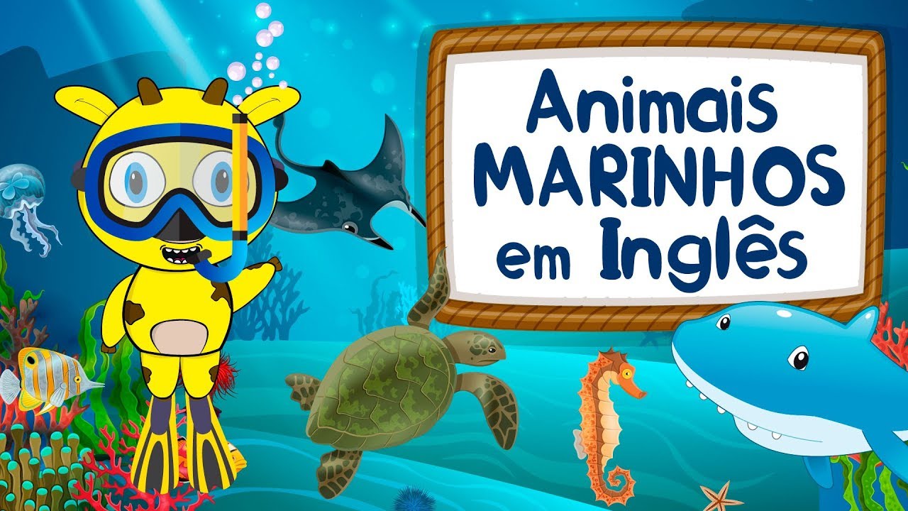 Animais marinhos em inglês - Nome dos animais marinhos em inglês