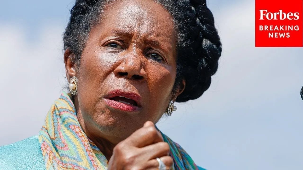 Sheila Jackson Lee: 'Reparations Are Curative, They're Not Punishment'