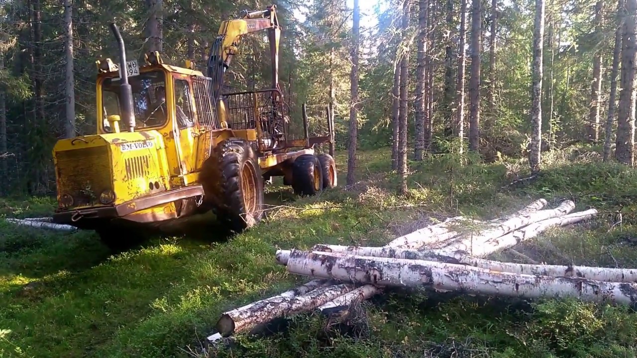 Skogstraktor 868 i skog