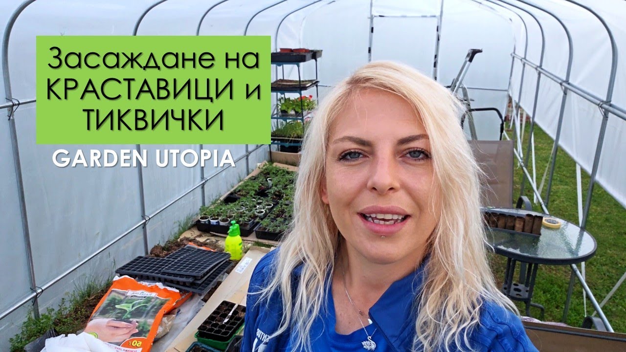 Засаждане на КРАСТАВИЦИ и ТИКВИЧКИ, обновление за ГРАДИНА на ТРИ СЕСТРИ