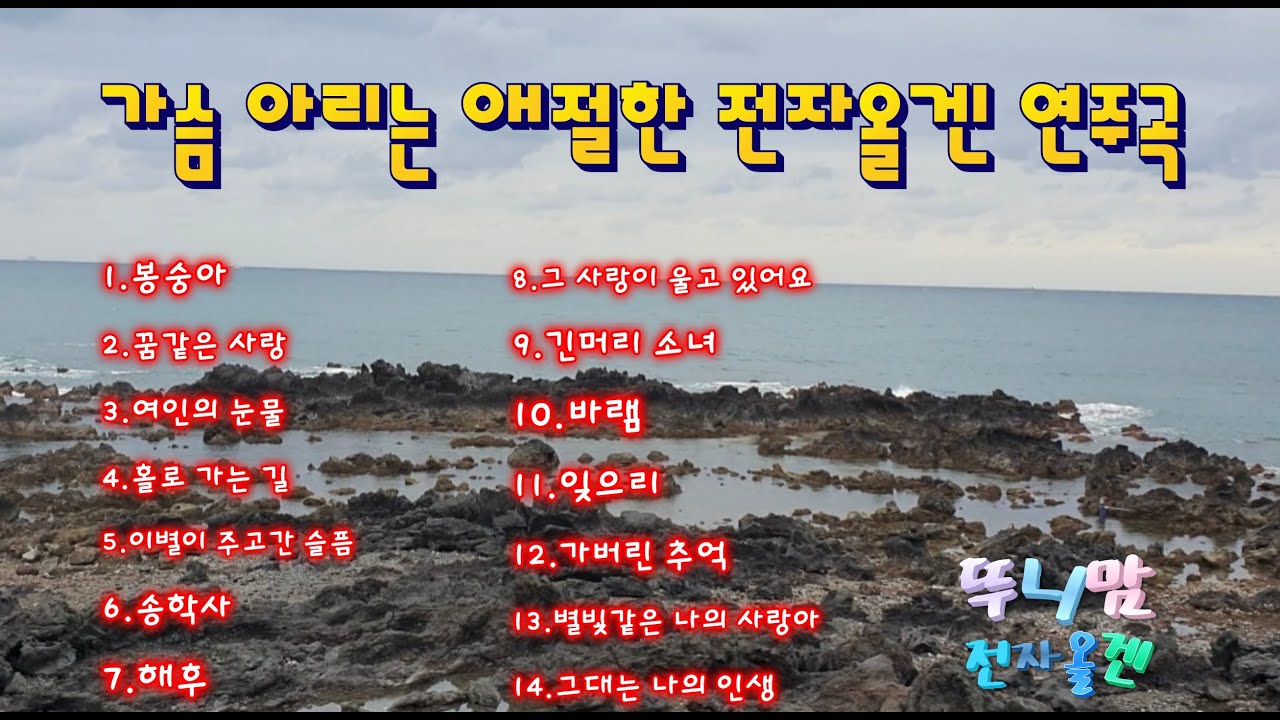 가슴 아리는 애절한 전자올겐 연주곡 /  경음악