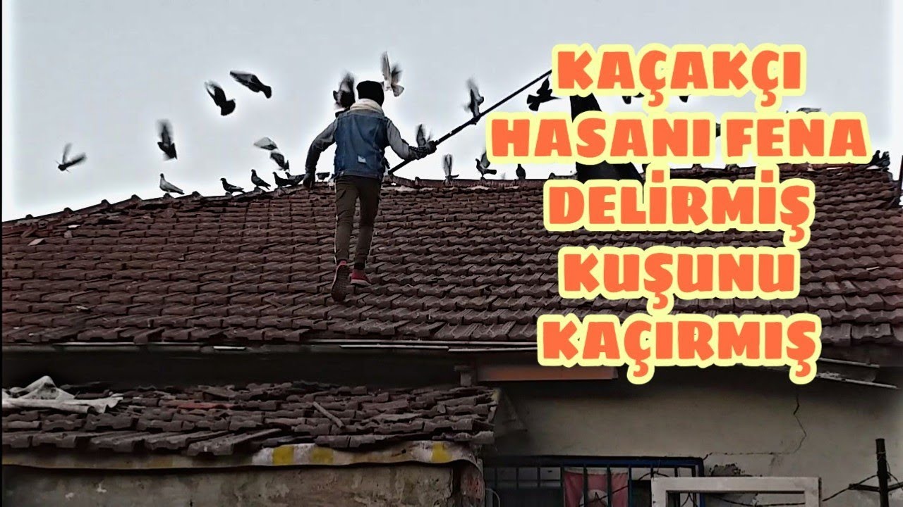 KAÇAKÇI HASANI FENA DELİRMİŞ KUŞUNU KAÇIRMIŞ