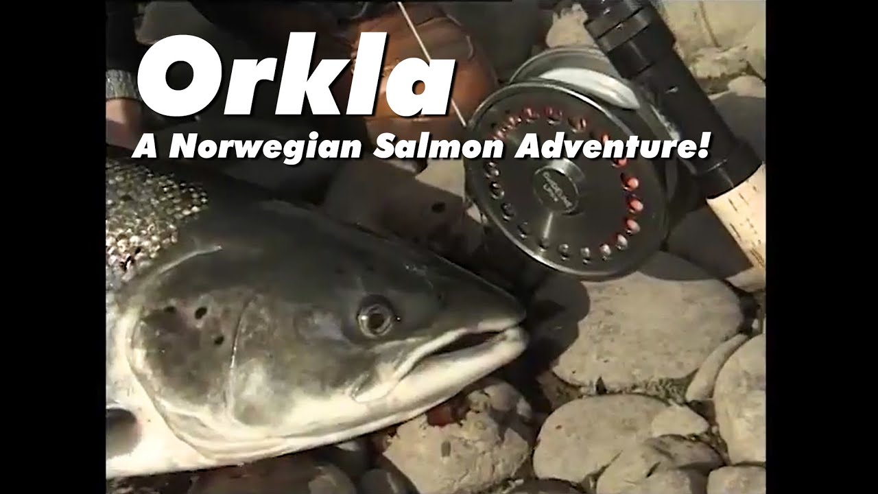 Orkla — Приключение с норвежским лососем! (Полный фильм — на английском языке)
