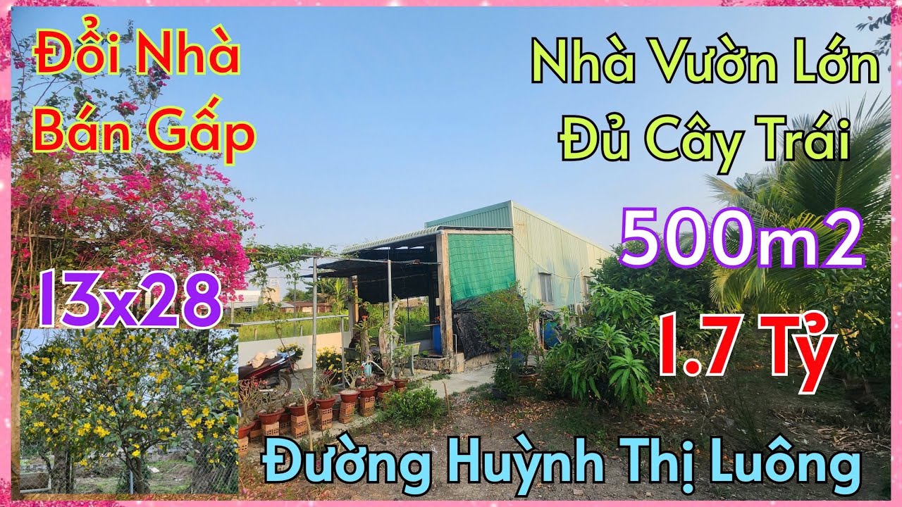 Nhà Vườn 500m2 Bán Đúng 1,7 Tỷ Đủ Cây Ăn Trái (13x28) Đường Huỳnh Thị Luông Về QL50 BÌNH CHÁNH.