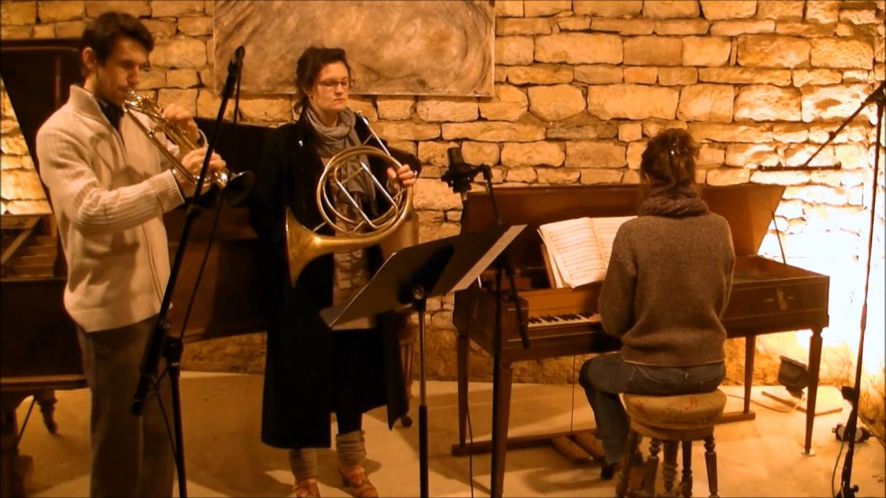 Haydn trumpet concerto klappentrompete performed on a 5 keys trumpet Nulla Dies Sine Musica