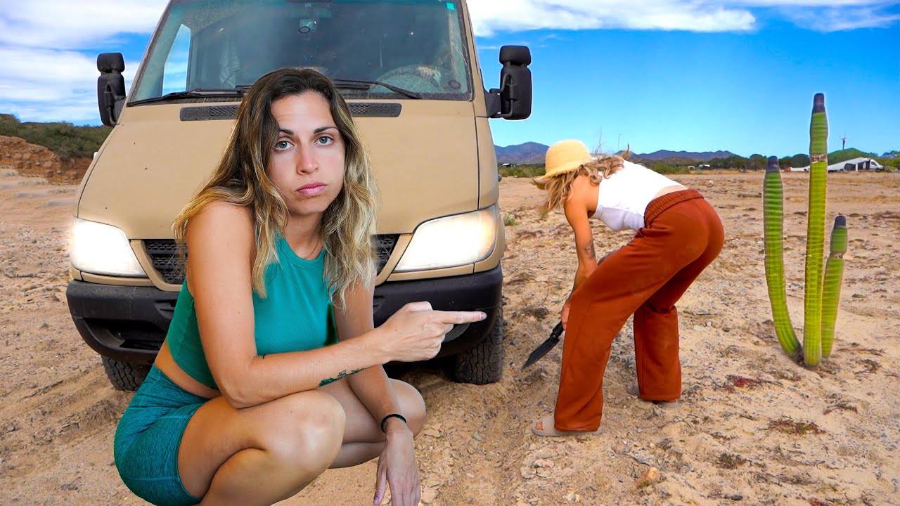 A Realistic Week Living In Our Van In Mexico