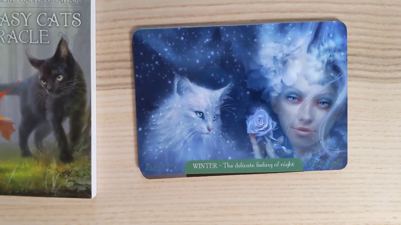 Fantasy Cats Oracle! Unboxing and first look