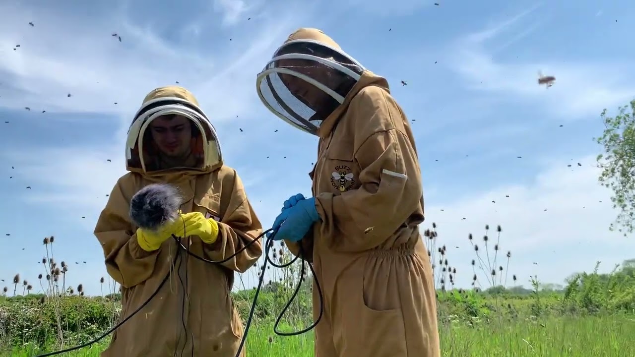 The Telling of the Bees Project - Boothorpe Colony Visit