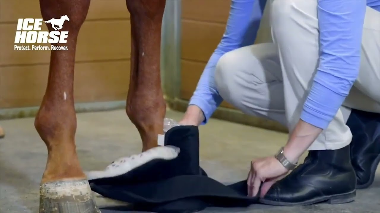 How to Use the Ice Horse Hoof Boot