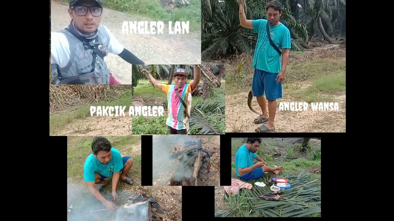  Trip air #tawar 17-02-26 #mancing D lubuk #sang #bedal sedap ikan #bakar ya #Bossku 