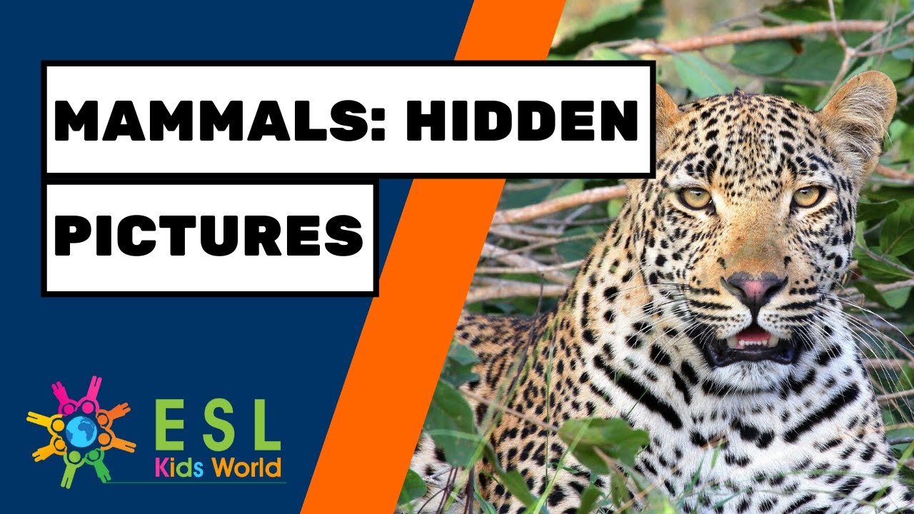 🦒Mammals Hidden Pictures | Find Animals with this Fun Game